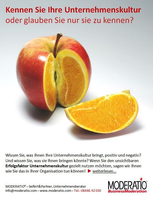 Professionelle Unternehmenskultur-Analyse von Moderatio