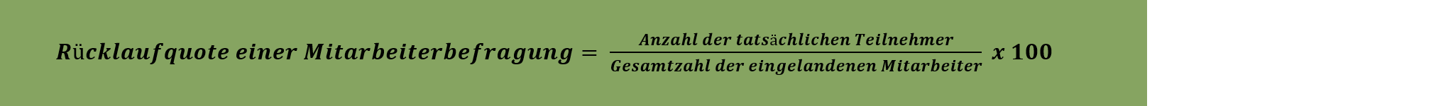 Berechnung Rücklaufquote einer Mitarbeiterbefragung