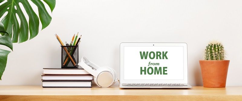 Laptop mit der Aufschrift „WORK from HOME“ auf dem Bildschirm steht zwischen einem Stapel Bücher mit Stiften und einem kleinen Kaktus. Große Pflanze flankiert Szene, alles auf Holzschreibtisch.