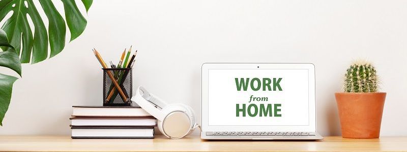 Laptop mit der Aufschrift „WORK from HOME“ auf dem Bildschirm steht zwischen einem Stapel Bücher mit Stiften und einem kleinen Kaktus. Große Pflanze flankiert Szene, alles auf Holzschreibtisch.
