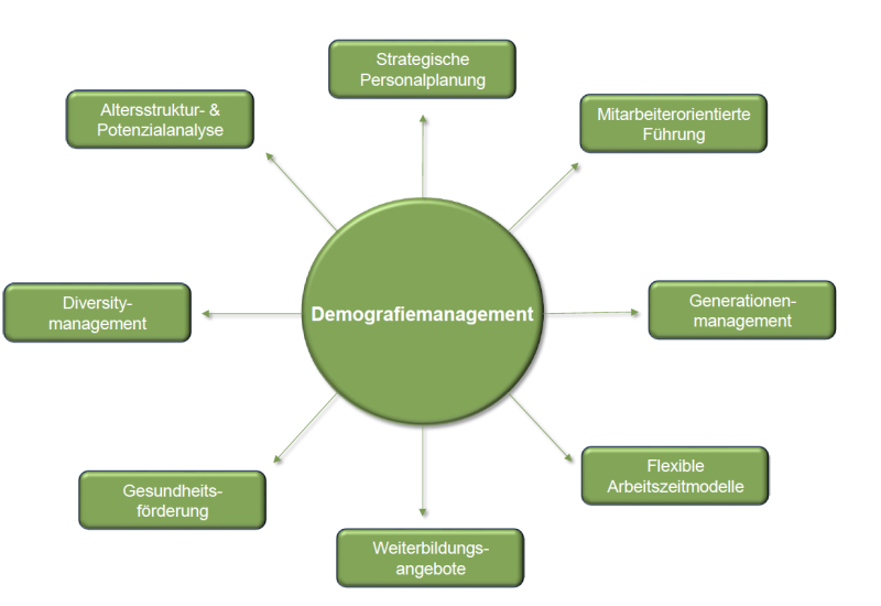 Ein zentraler grüner Kreis mit der Aufschrift „Demografiemanagement“ ist durch Pfeile mit acht beschrifteten Kästchen verbunden: „Strategische Personalplanung“, „Mitarbeiterorientierte Führung“, „Generationenmanagement“, „Flexible Arbeitszeitmodelle“, „Weiterbildungsangebote“, „Gesundheitsförderung“, „Diversitymanagement“, „Altersstruktur- & Potenzialanalyse“.