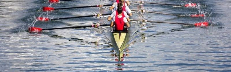 Bildnachweis: smuki - stock.adobe.com